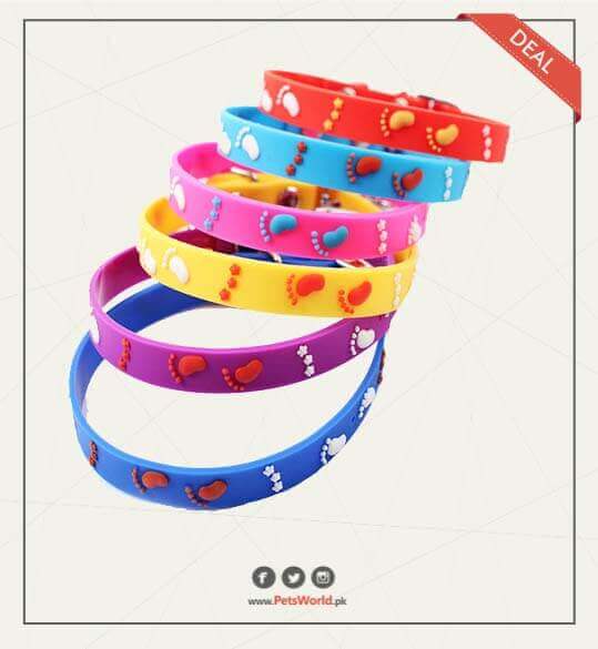 petsworld.pk| Pet Clinic