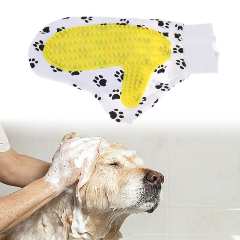 petsworld.pk| Pet Clinic