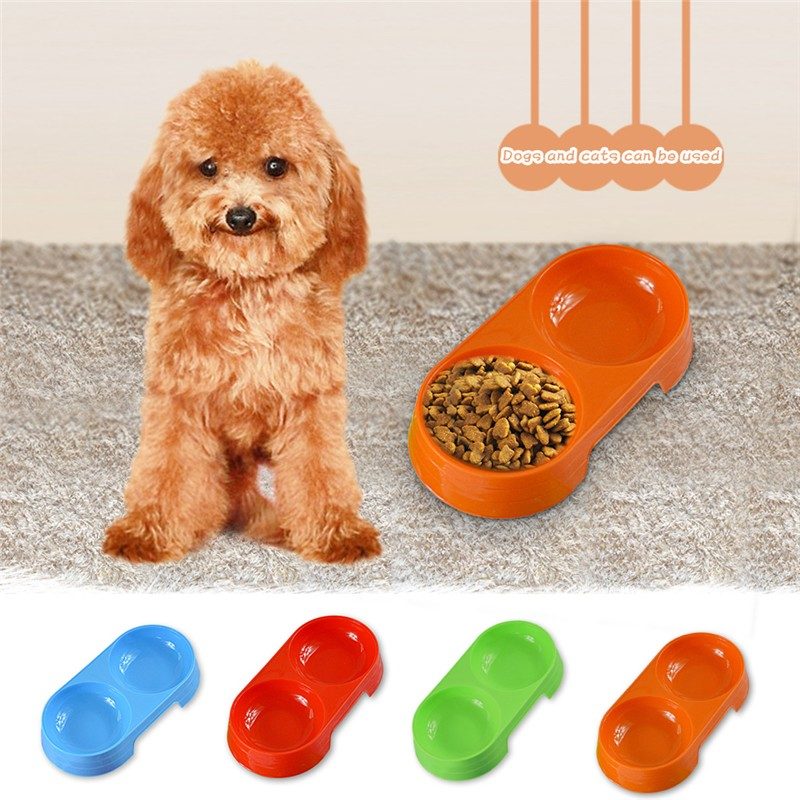 petsworld.pk| Pet Clinic