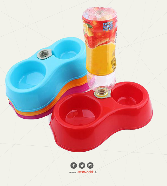 petsworld.pk| Pet Clinic