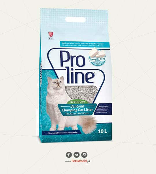 petsworld.pk| Pet Clinic