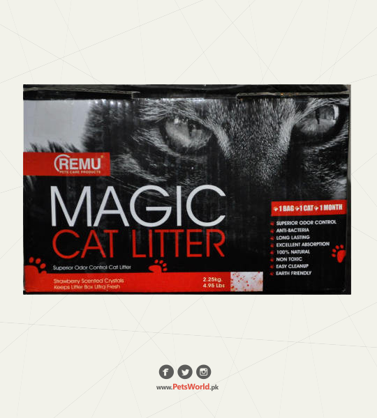 petsworld.pk| Pet Clinic