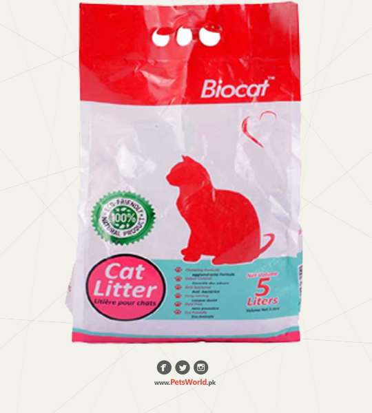 petsworld.pk| Pet Clinic