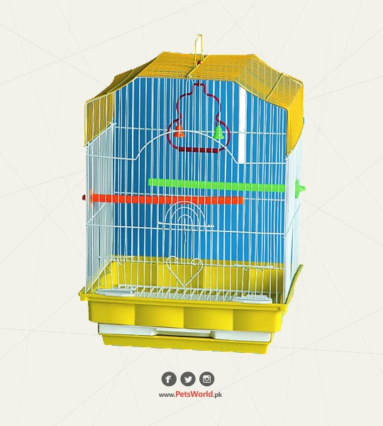 petsworld.pk| Pet Clinic