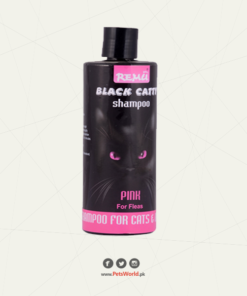Black Catty Cat Shampoo