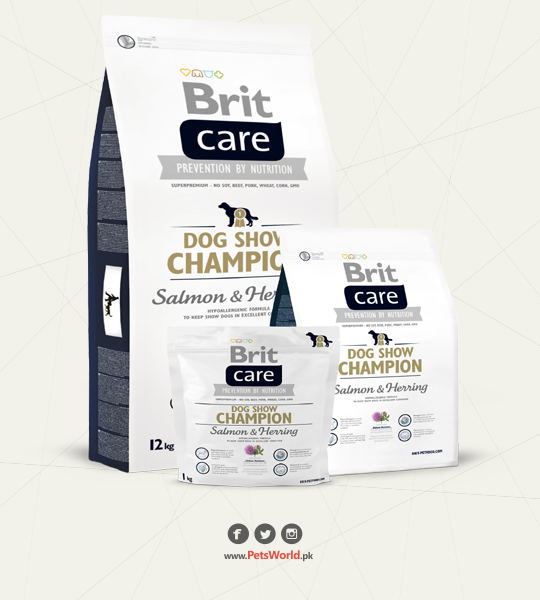 petsworld.pk| Pet Clinic