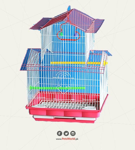 petsworld.pk| Pet Clinic