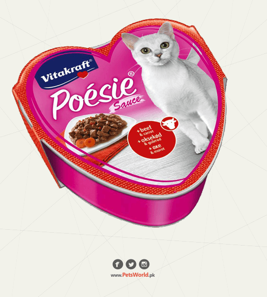 petsworld.pk| Pet Clinic