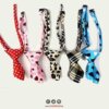 Pet Neck Tie