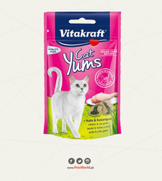 petsworld.pk| Pet Clinic