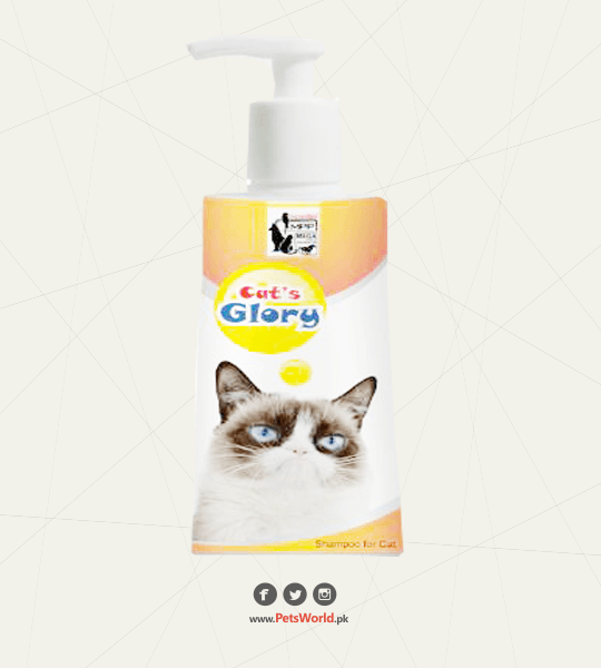 petsworld.pk| Pet Clinic