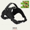 Dog Harness / Chest Strap Large