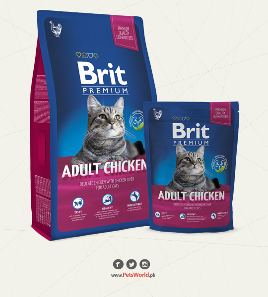 petsworld.pk| Pet Clinic