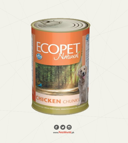 petsworld.pk| Pet Clinic