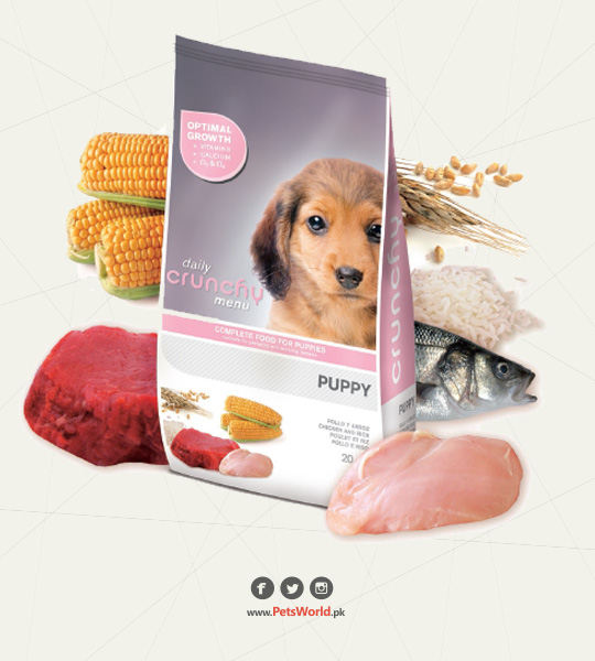 petsworld.pk| Pet Clinic