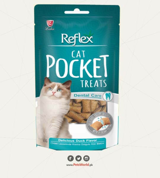 petsworld.pk| Pet Clinic