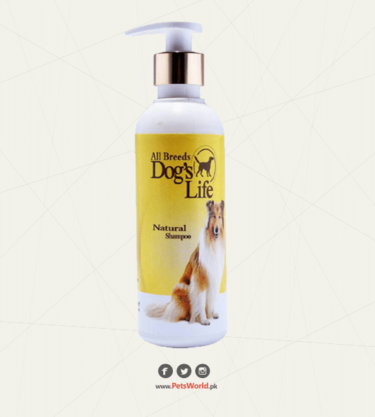 petsworld.pk| Pet Clinic