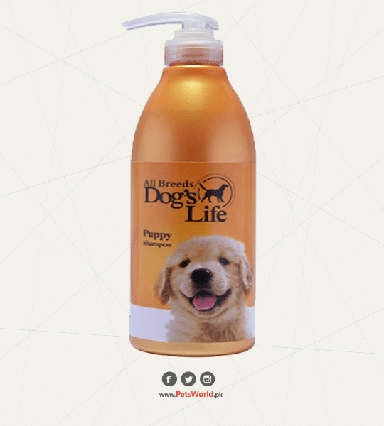 petsworld.pk| Pet Clinic