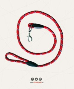 Round Leash For Cat - Dog