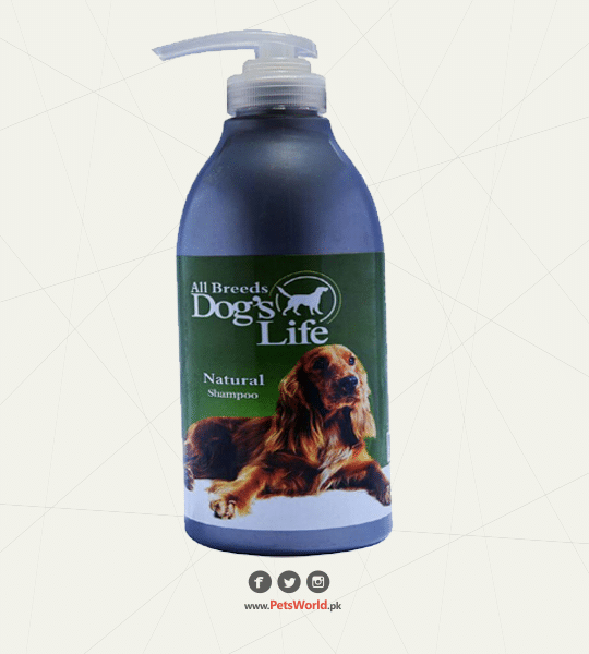 petsworld.pk| Pet Clinic