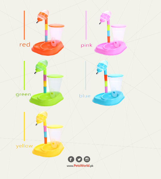 petsworld.pk| Pet Clinic