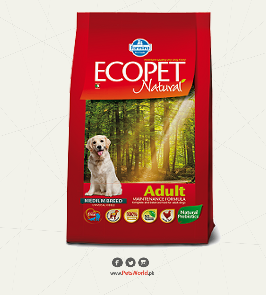 petsworld.pk| Pet Clinic