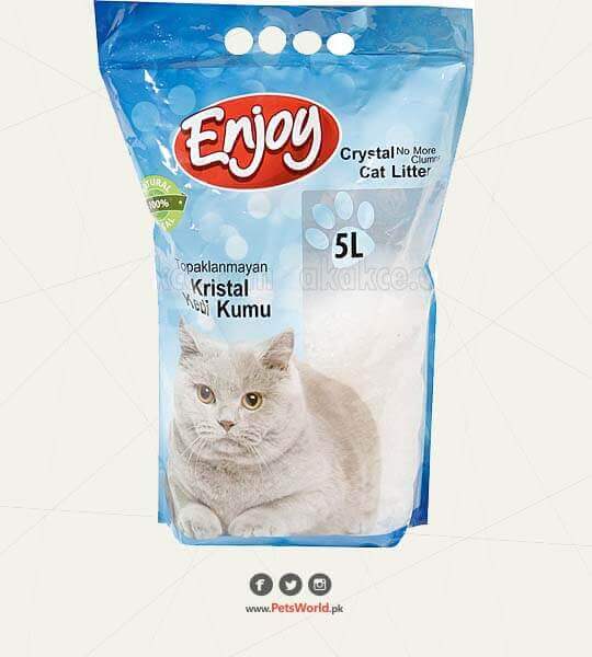 petsworld.pk| Pet Clinic