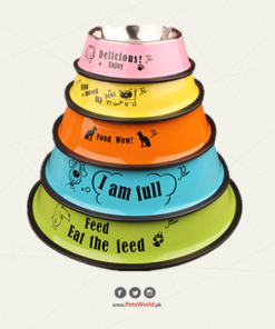 Colored Stainless Steel Pet Food Bowl