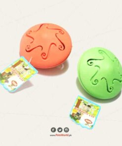 Pet Training Food Plate Toy