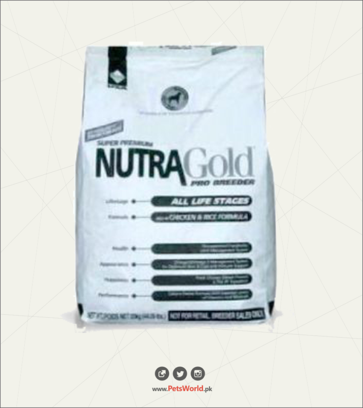 petsworld.pk| Pet Clinic