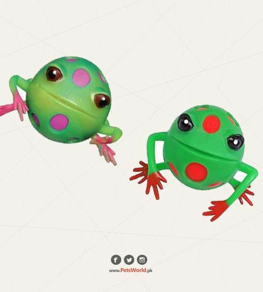 petsworld.pk| Pet Clinic