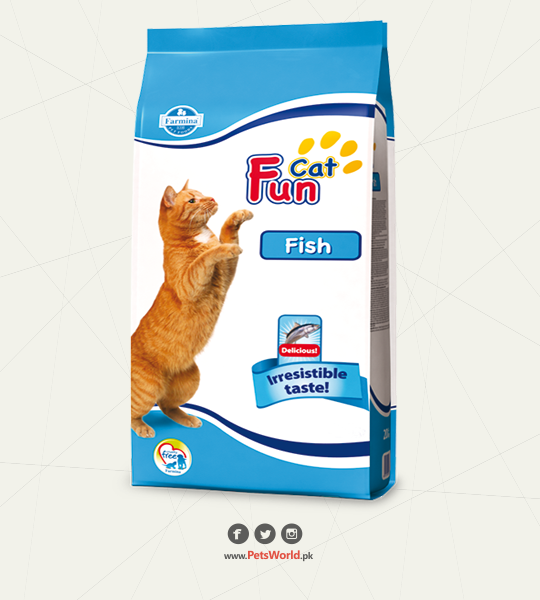 petsworld.pk| Pet Clinic
