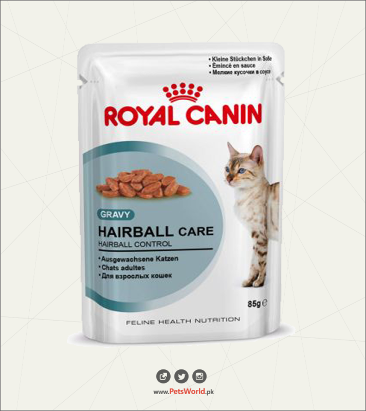 petsworld.pk| Pet Clinic