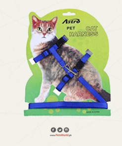 Beautiful Cat Harness With Leash