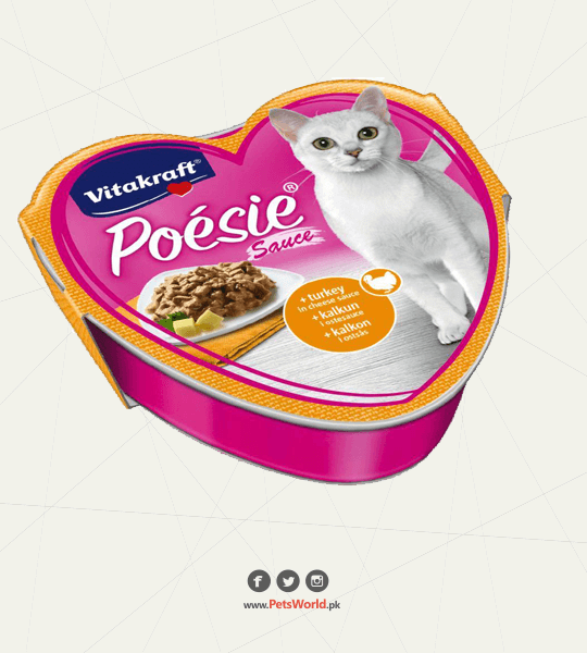 petsworld.pk| Pet Clinic