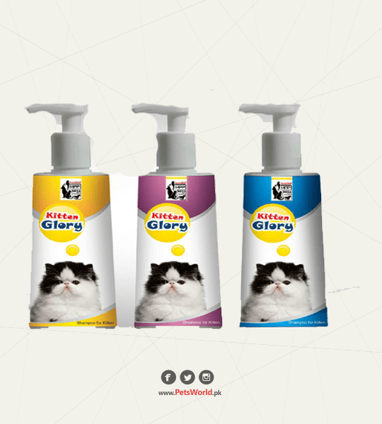 petsworld.pk| Pet Clinic