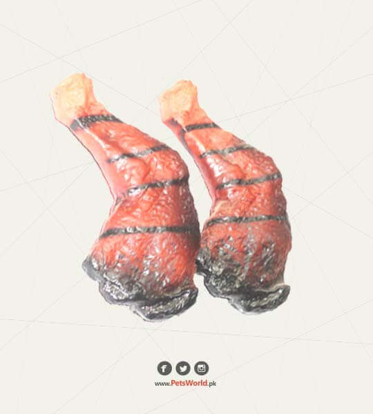 petsworld.pk| Pet Clinic