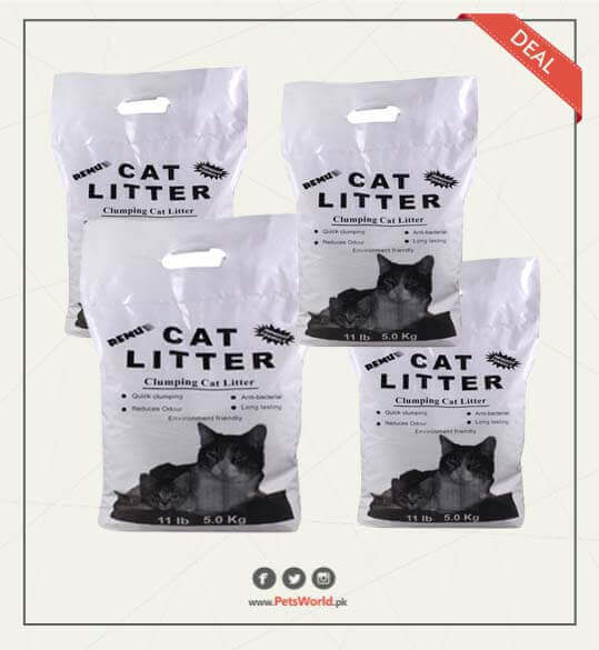 petsworld.pk| Pet Clinic