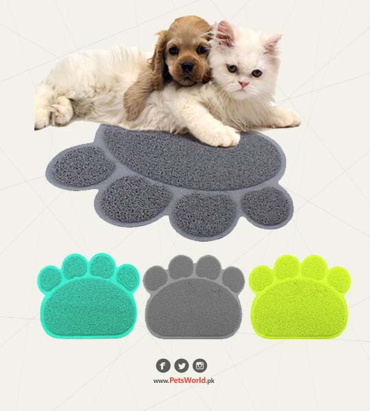 petsworld.pk| Pet Clinic