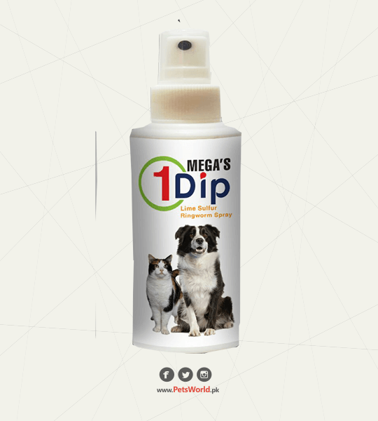 petsworld.pk| Pet Clinic