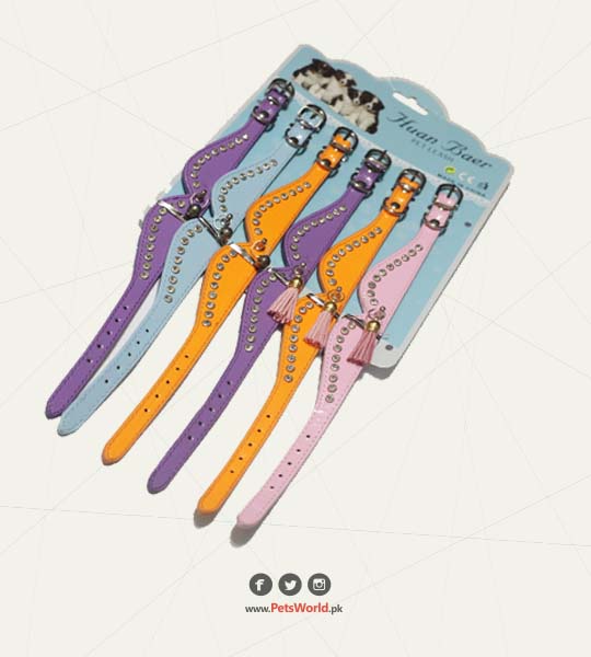 petsworld.pk| Pet Clinic