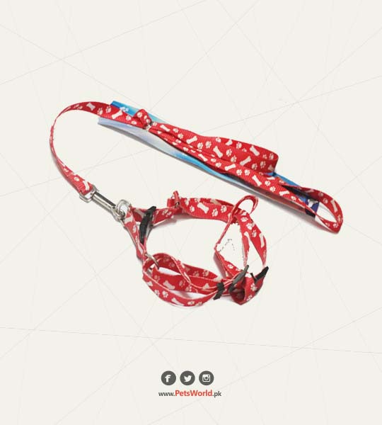 petsworld.pk| Pet Clinic