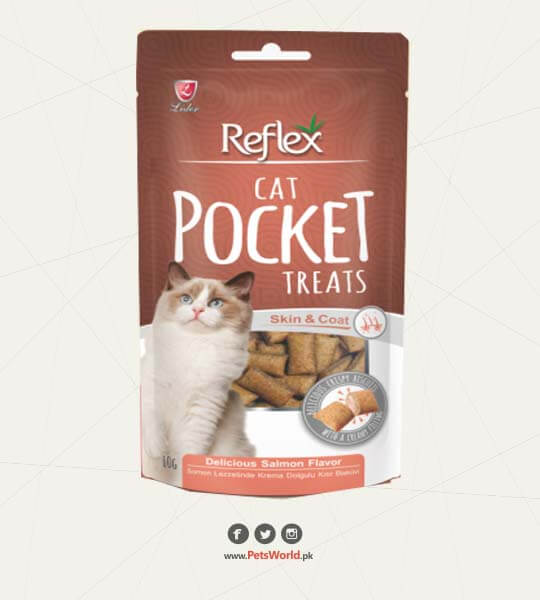 petsworld.pk| Pet Clinic