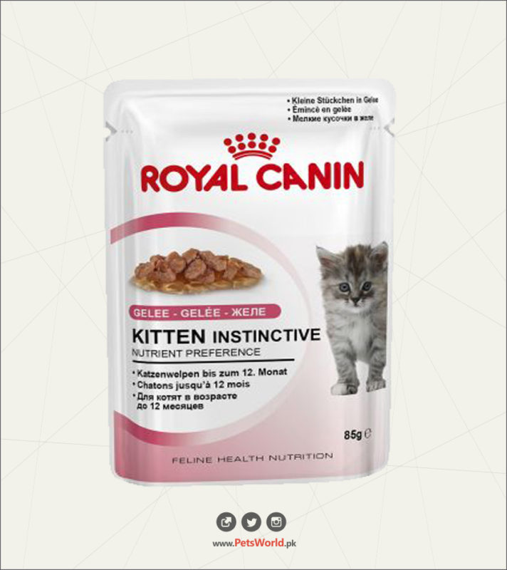 petsworld.pk| Pet Clinic