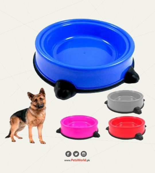 petsworld.pk| Pet Clinic