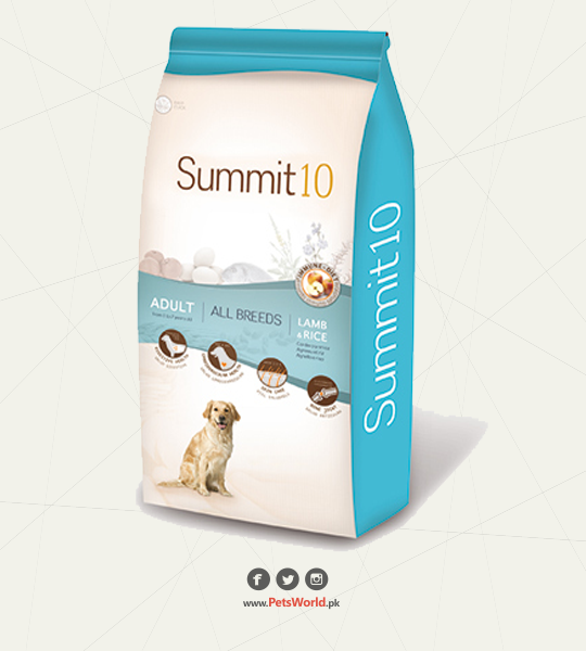 petsworld.pk| Pet Clinic