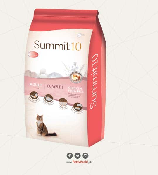 petsworld.pk| Pet Clinic