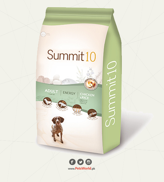 petsworld.pk| Pet Clinic