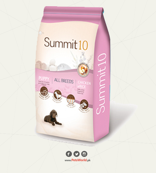 petsworld.pk| Pet Clinic