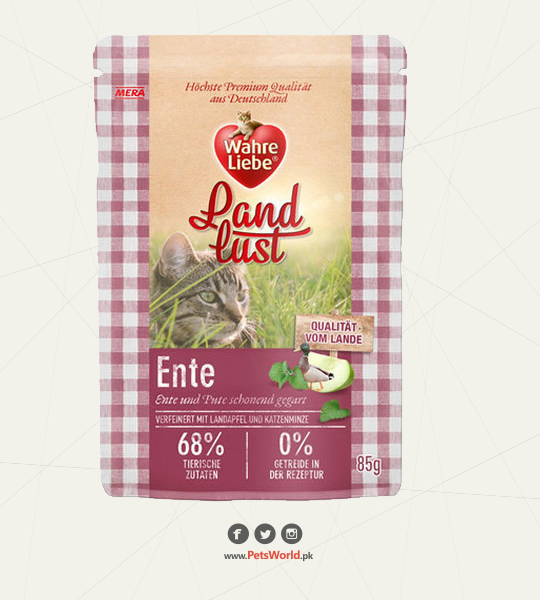 petsworld.pk| Pet Clinic